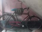 এই সাইকেলটা বিক্রি করা হবে