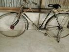 Bicycle for sell