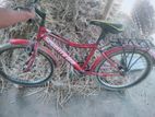 Bicycle for sell.