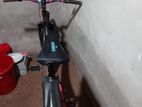 Bicycle For Sell