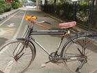 Phoenix Bicycle for Sale