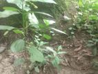 এক শতাংশ জমি বিক্রি প্রসঙ্গে বিজ্ঞাপন