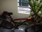 Bicycle for sell