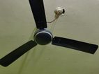 Fan বিক্রি