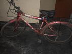 Bicycle for sell