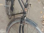 Bicycle for sell