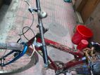 Bicycle Sale