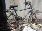 Bicycle for sell