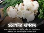 এখন আমাদের ফার্মের,নিরাপদ মাশরুম আপনার কাছে