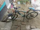 Phoenix Bicycle for sale