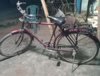 Bicycle For Sell