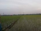 একটি দুই বিঘা কৃষি জমি বিক্রি হবে।