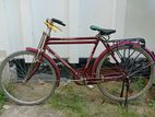 Bicycle for sell