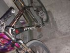 Phoenix Bicycle for sale