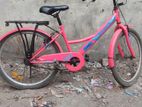 Duranta Bicycle For Sale