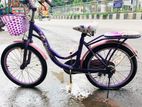 Phoenix Bicycle For Sale