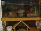 একুরিয়াম for sale