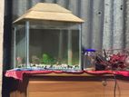 Aquarium For Sell