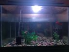 একুরিয়াম ( Aquarium) বিক্রি