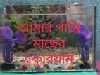 একুরিয়াম বিক্রি হবে