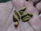 এলাচি দারুচিনি