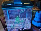 Electric aquarium