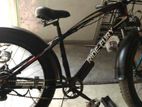 Electric Cycle