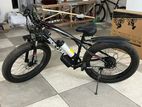 Electric Fat Bike