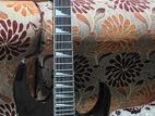 Electric Guitar Ibanez Gio Grg 170dx