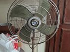Electric standing fan