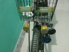 Electrical Bike 2026