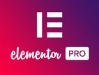 Elementor pro