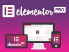 Elementor Pro Website Builder License Activation