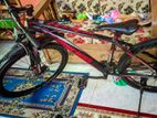 Bicycle for sell