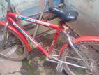 Bicycles for sell