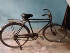 Bicycle for sell