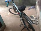 Duranta Bicycle for sale