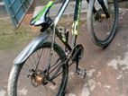 Phoenix Bicycle for sale