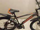 Phoenix Bicycle for sale
