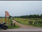 Emergency land Sell Post (Basundhara , Gazipur)
