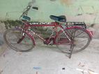 Bicycle for sell