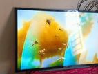 SONY Bravia 44 inch