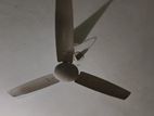 Energy Pac Fan 56 " Bikri Hobe