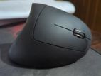 ergonomic mouse wireless