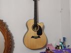 Guiter sell