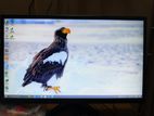 Esonic 22 inch FHD