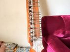 Couple of years playing instrument Esraj