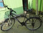 Cycle for sale