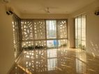 Excellent Brand New 4000 SqFt Apartment For Rent In GULSHAN 2