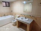Excellent Full Furniture Residential Apartment Rent in Gulshan -1
